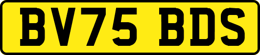 BV75BDS