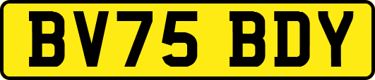 BV75BDY