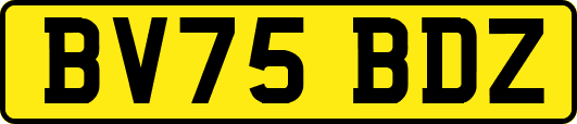 BV75BDZ