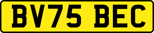 BV75BEC