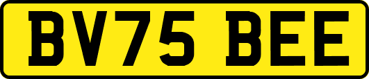 BV75BEE