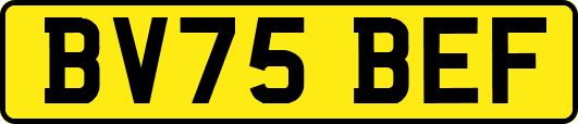 BV75BEF