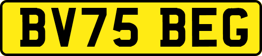 BV75BEG