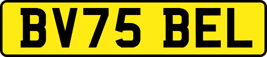BV75BEL