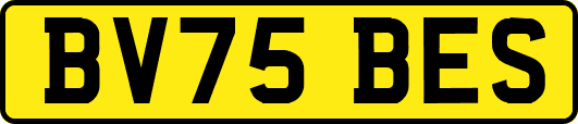 BV75BES