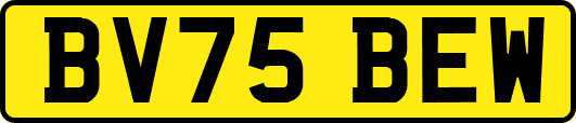 BV75BEW