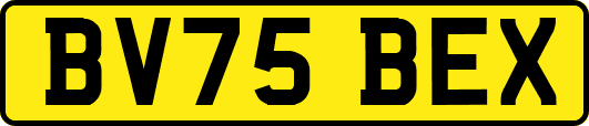 BV75BEX