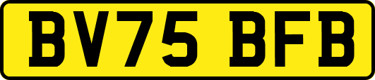 BV75BFB