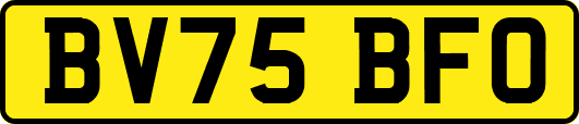 BV75BFO