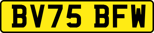 BV75BFW