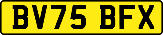 BV75BFX