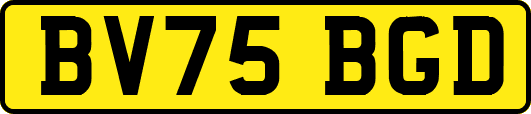 BV75BGD