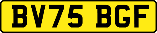 BV75BGF