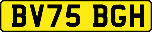BV75BGH