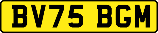 BV75BGM