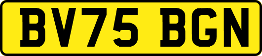 BV75BGN