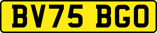 BV75BGO