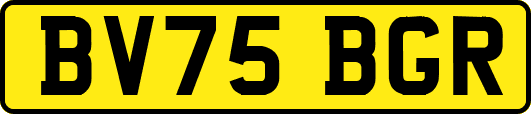 BV75BGR