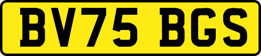 BV75BGS