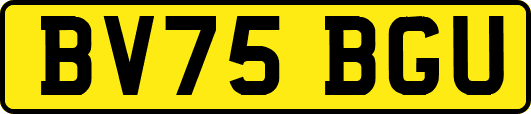 BV75BGU