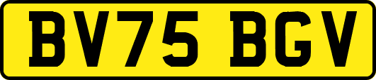 BV75BGV