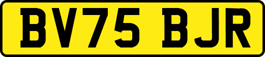 BV75BJR