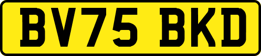BV75BKD