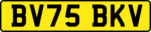 BV75BKV