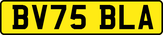 BV75BLA