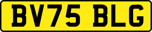 BV75BLG