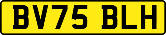 BV75BLH