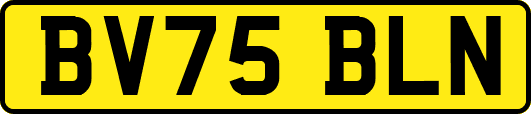 BV75BLN