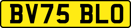BV75BLO