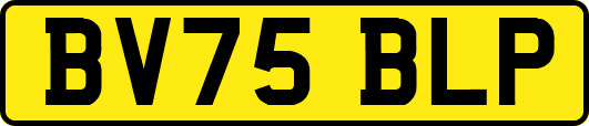 BV75BLP
