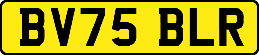 BV75BLR