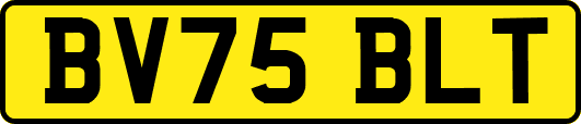 BV75BLT