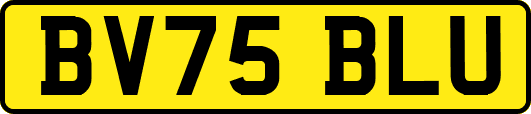 BV75BLU