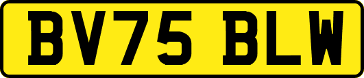 BV75BLW