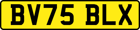 BV75BLX