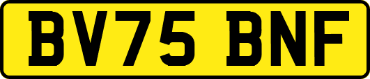 BV75BNF