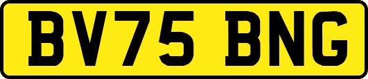 BV75BNG