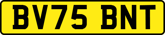 BV75BNT