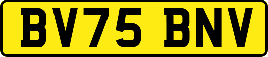 BV75BNV