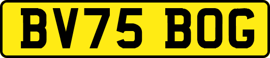 BV75BOG