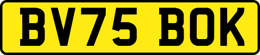 BV75BOK