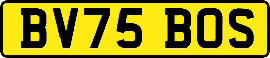 BV75BOS