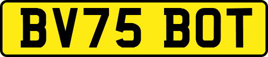 BV75BOT