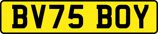 BV75BOY