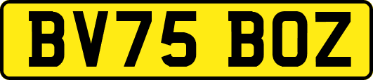 BV75BOZ