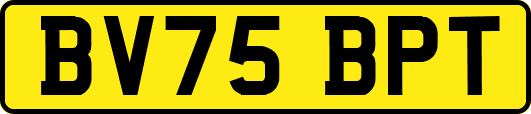 BV75BPT